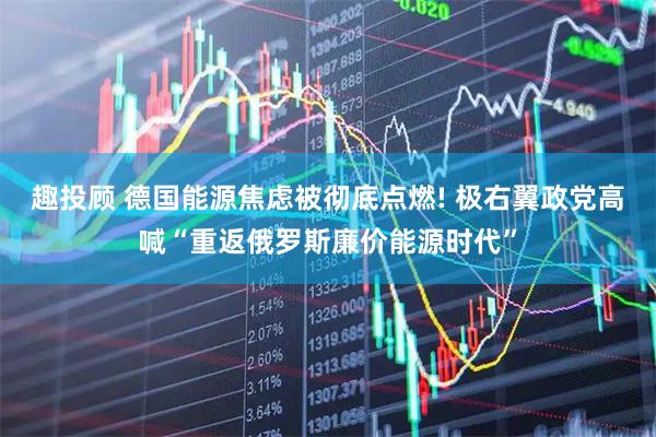 趣投顾 德国能源焦虑被彻底点燃! 极右翼政党高喊“重返俄罗斯廉价能源时代”