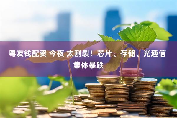 粤友钱配资 今夜 太割裂！芯片、存储、光通信 集体暴跌